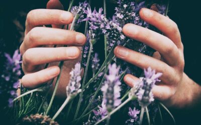 BDIH: Garantía de calidad natural en cosméticos y productos de higiene