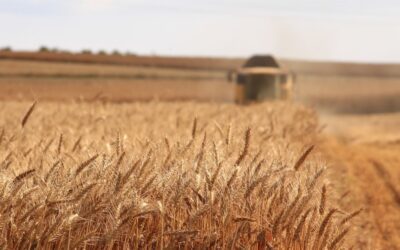 Demeter: El impulso de la biodinámica en la agricultura y cosmética