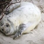 Elige el sello ecológico adecuado y haz crecer tu tienda online