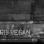 Conoce los beneficios de un after shave vegano para tu piel y el medio ambiente