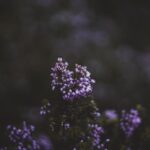 Cómo posicionar tu tienda online de cosmética ecológica en los primeros resultados de búsqueda