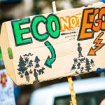 Explorando los sellos ecológicos más destacados en Europa: ¿cómo influyen en las decisiones de compra?