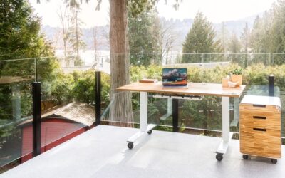 Bienestar y sostenibilidad: la combinación perfecta a través del diseño ecológico