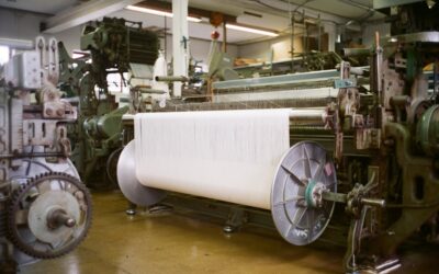 El futuro de la moda: materiales regenerativos que promueven un estilo de vida saludable y sostenible