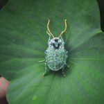 Materiales reciclados en la moda: conoce a los diseñadores emergentes que están revolucionando la industria