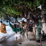 Tendencias eco-friendly: conoce los tejidos más sostenibles del mañana