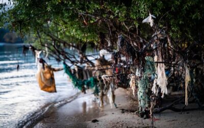 Tendencias eco-friendly: conoce los tejidos más sostenibles del mañana