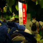 Construyendo una identidad propia: Cómo crear una marca de moda ecológica