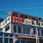 Descubre la Oportunidad de Negocio de Representar Marcas de Nutricosmética de Corea del Sur en España