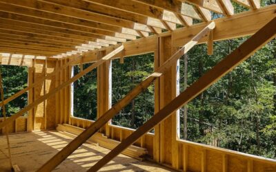 Construyendo un futuro sostenible en Tánger: Los mejores materiales ecológicos para tu proyecto