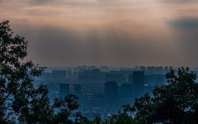 •	Ranking De Rooftops Eco-gastronómicos Con Vistas Panorámicas En Tánger
