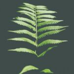 Guía definitiva de certificaciones en moda sostenible: ¡Conviértete en un experto!