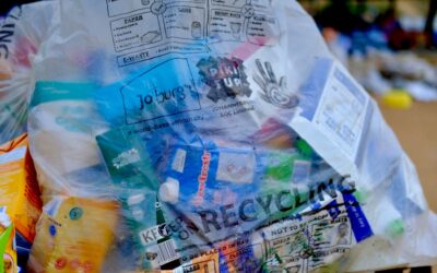 Descubre las empresas líderes en circularidad: ¡Conoce el listado completo aquí!