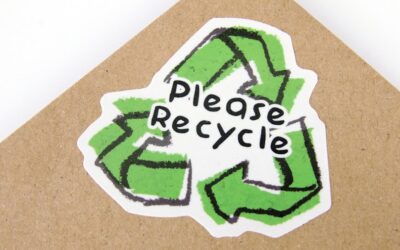 Diseño industrial sostenible: todo lo que necesitas saber sobre certificaciones ecológicas