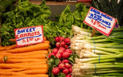 Tendencias eco-friendly: Descubre los productos más buscados por los amantes del medio ambiente