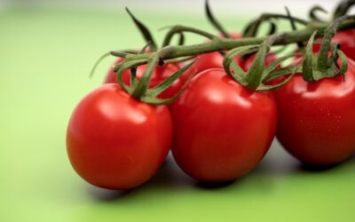 Pasos clave para obtener certificación en tu negocio de alimentos sostenibles