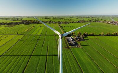 ¿Cuáles son las tendencias actuales en el ranking de negocios verdes en energías sostenibles?