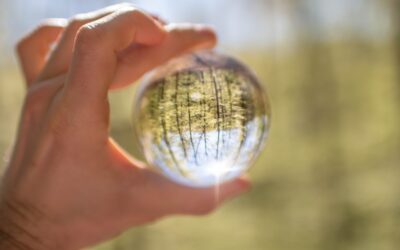 Emprende con éxito: conoce los modelos de negocio sostenible más populares entre las mujeres