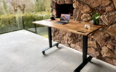 Innovación ecológica: descubre cómo emprender en el sector verde y transformar tu carrera