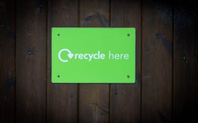 ¿Cuál es el negocio ecológico con mayor impacto positivo? Una comparativa detallada