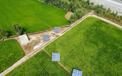 Cómo crear proyectos sostenibles con valores y rentabilidad: ¡Descubre las claves!