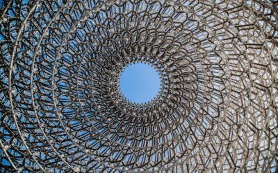 Cómo implementar negocios sostenibles en la economía circular