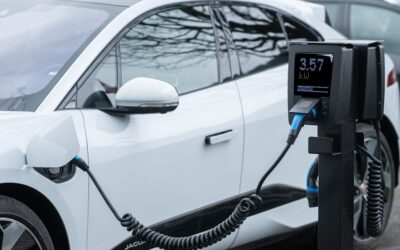 Transformando el Mundo: Proyectos Ecológicos que Están Cambiando las Reglas del Juego Industrial