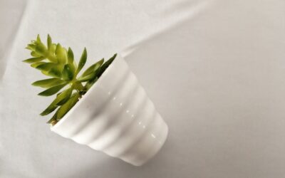 Las 5 propuestas de negocio verde que están cambiando el juego