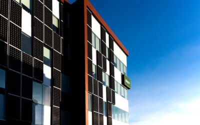 El futuro es verde: conoce los emprendimientos ecológicos más innovadores