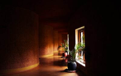 ¡Sé Parte del Cambio! Descubre Proyectos Ecológicos Innovadores y Creativos