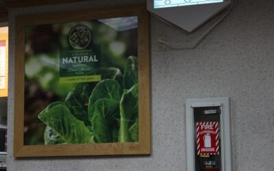 Innovación y sostenibilidad: claves para el liderazgo empresarial del futuro