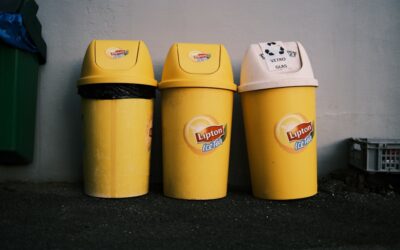 Sostenibilidad y emprendimiento: Descubre 5 ideas de negocio creativo con residuos reutilizados