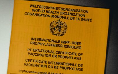 Cómo obtener y mantener certificaciones ISO en el mundo empresarial actual