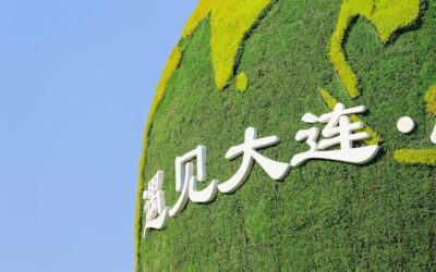 El valor de las certificaciones ecológicas en proyectos premium: ¿Por qué son tan importantes?