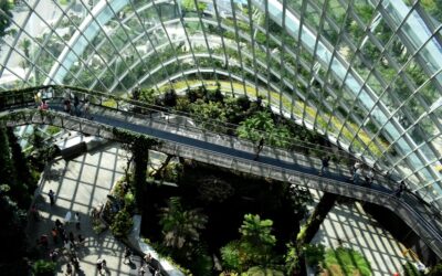 Conoce los proyectos de diseño sostenible que están liderando el cambio hacia un futuro más sostenible