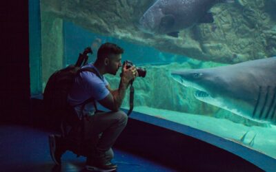 La magia de los concept stores: cómo venden experiencias en lugar de productos