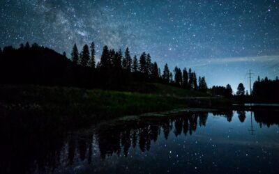 La búsqueda de la excelencia: Los secretos detrás de las tiendas de los hoteles boutique