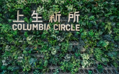 Casos de éxito de economía circular en la industria: aprende de ellos