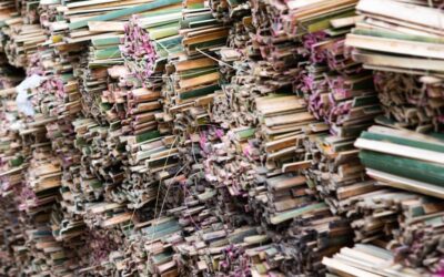 Diseño sostenible auténtico: claves para evitar el greenwashing