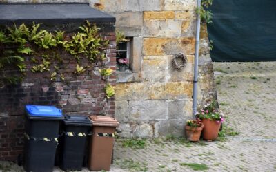 Consejos prácticos para promover un reciclaje consciente y sostenible