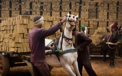 Los beneficios económicos de implementar una producción consciente en tu empresa