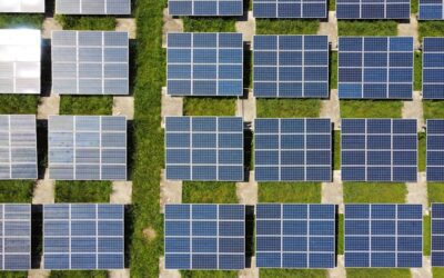 Inversión extranjera: el impulso que necesitan los proyectos verdes