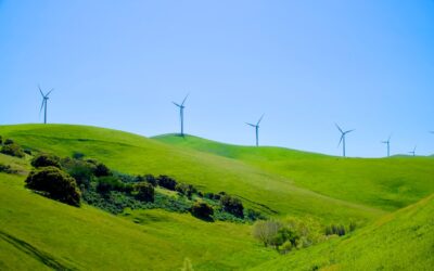 Negocios verdes: ¿Qué modelo es más rentable, el tradicional o el innovador?