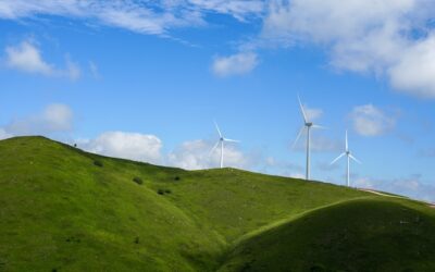 Negocios verdes: ¿Qué modelo es más rentable, el tradicional o el innovador?