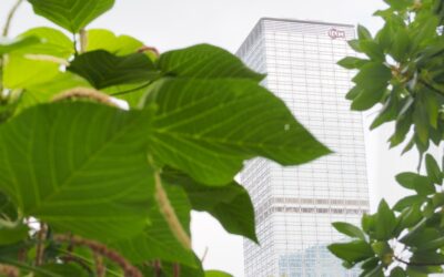 Empresas ecológicas: cómo están generando un impacto positivo en la sociedad