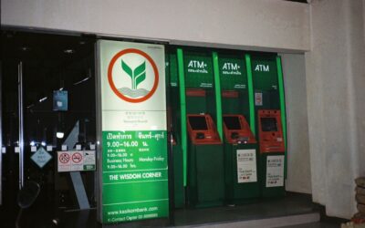 Comparativa de emprendimientos ecológicos: Descubre cuál sector ofrece más oportunidades