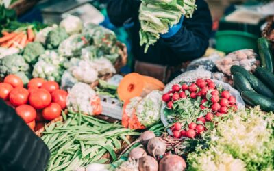De la teoría a la práctica: casos reales de éxito en modelos de negocio ecológico