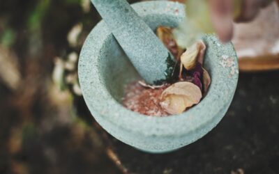 Ideas de negocio en cosmética ecológica certificada: encuentra tu inspiración emprendedora