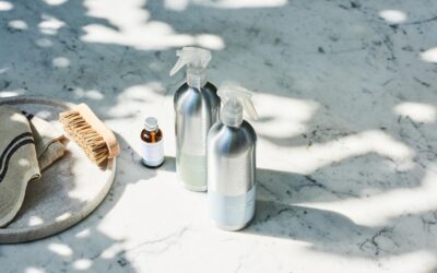 Tendencias y oportunidades en el mercado de la cosmética ecológica: ¡inspírate para crear tu marca!