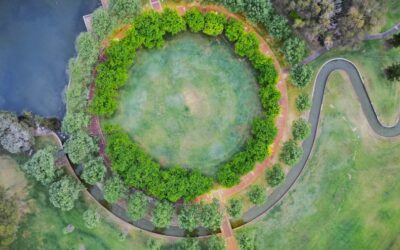 De la basura al beneficio: cómo los negocios circulares están cambiando la forma en que vemos los desechos